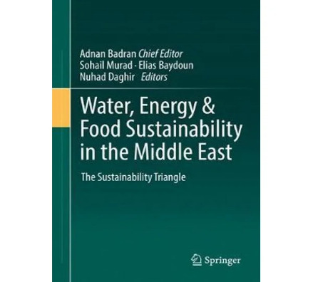 Water, Energy & Food Sustainability in the Middle East: The Sustainability Triangle book cover
